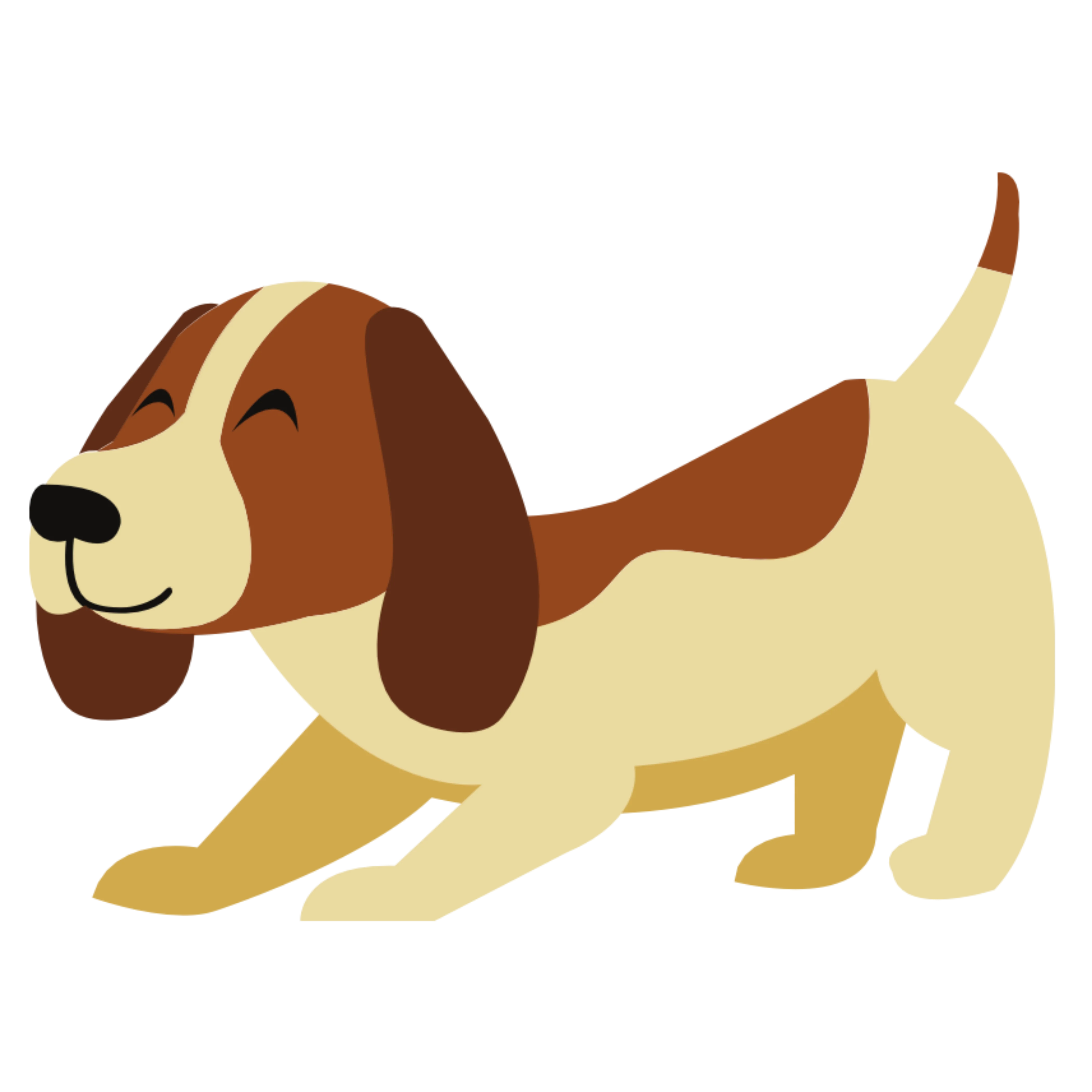 Perro