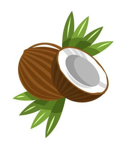 Coco abierto