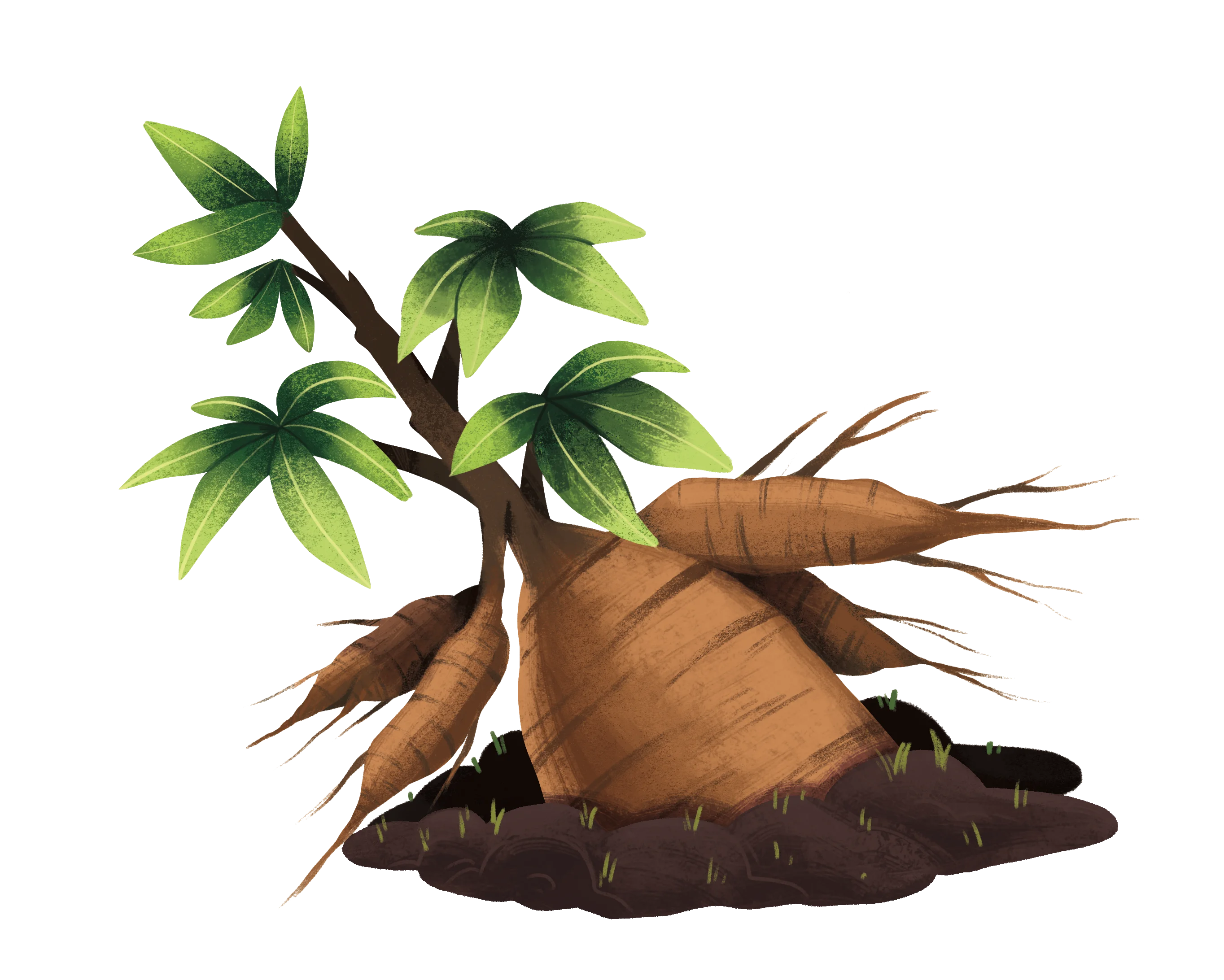 Ilustración de una yuca enorme
